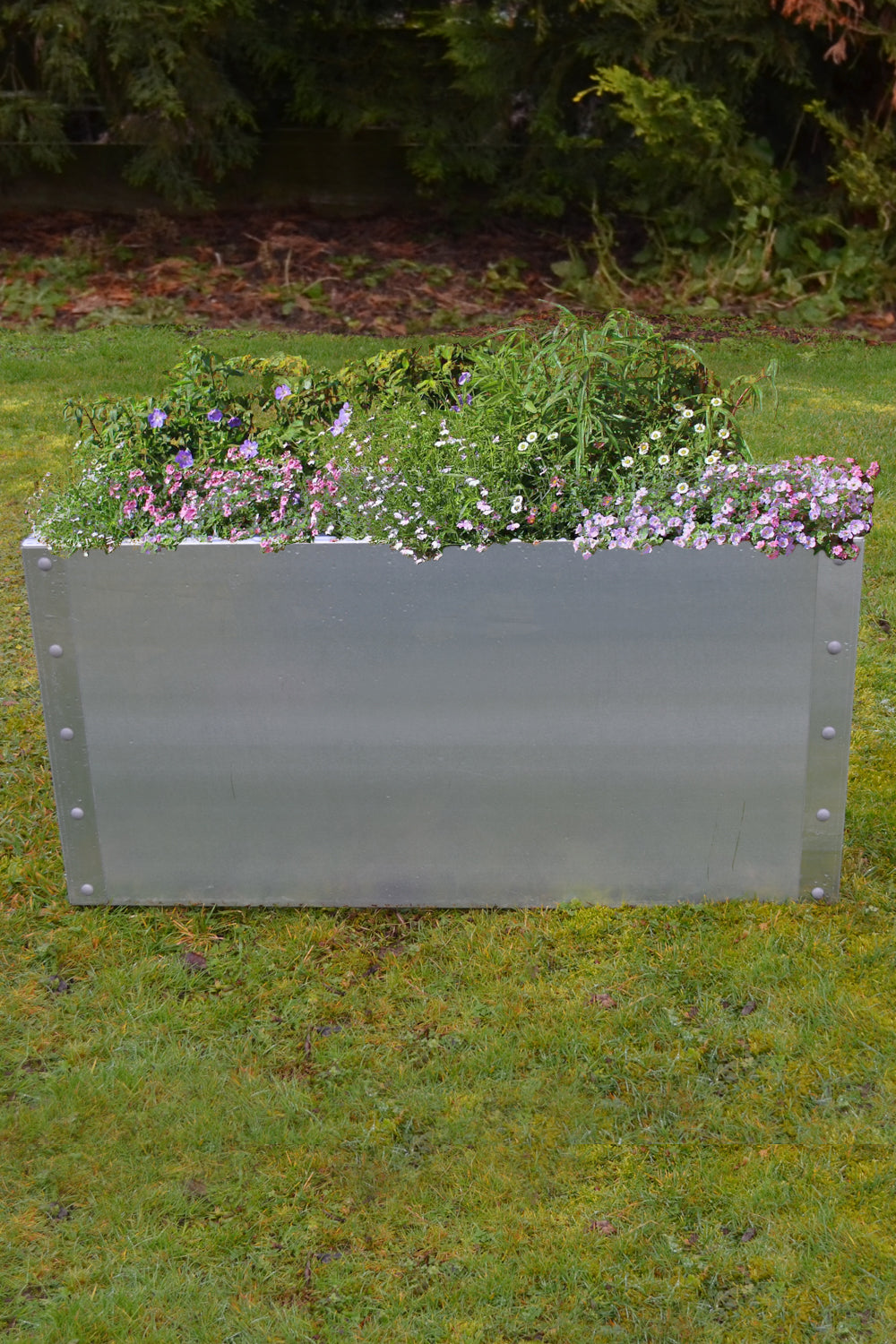 1200 x 600 x 600mm Raised Garden Bed
